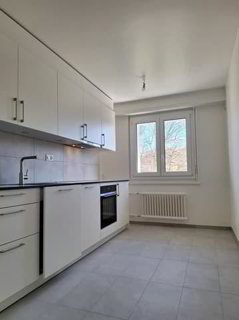 Appartement complètement rénové de 3 pièces proche des Nations 1/3