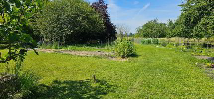 Parcelles de jardin exceptionnel au Landeron 1/3