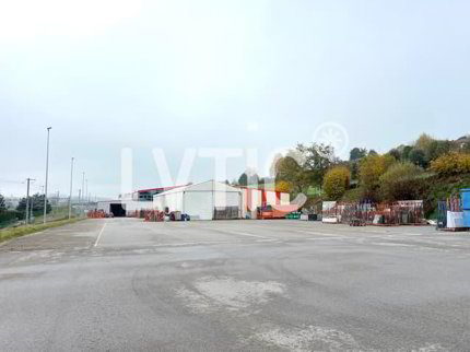 Terrain industriel de 8825 m2 à vendre à Avry-sur-Matran 1/5