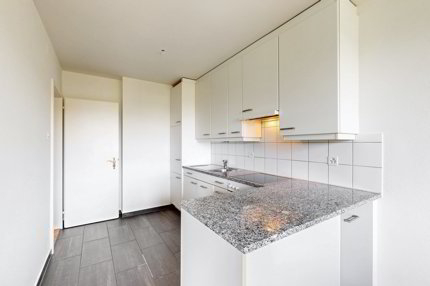Apartment for rent, Lehenmattstrasse 238-240 (Basel, Switzerland) 1/5