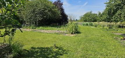 Jardin familial en location à Le Landeron - 700 m² 1/3