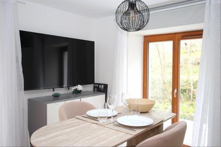 Appartement meublé de 1 pièce en location à HERMANCE - 34 m² 1/5
