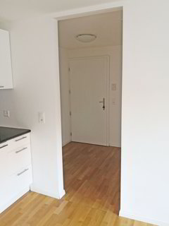 Apartment for rent, Teufenerstrasse 831 (Teufen, Switzerland) 1/5