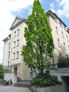 Parking for rent, Einstellhalle Zeltweg 64-66 (Zürich, Switzerland) 1/1