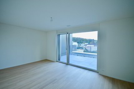Apartment for rent, Hofwiesenstrasse 207 (Zürich, Switzerland) 1/5