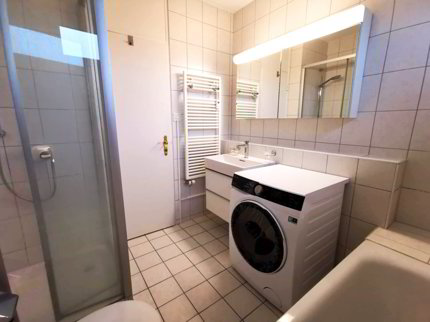 5-Zimmer-Attika-Wohnung mit grosser Dachterrasse 1/5