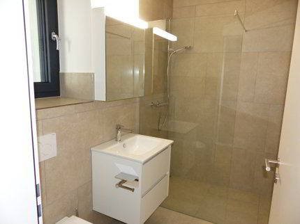 ATTRAKTIVE 5.5 Zimmer DEFH ZUM MIETEN / NEUBAU 1/5