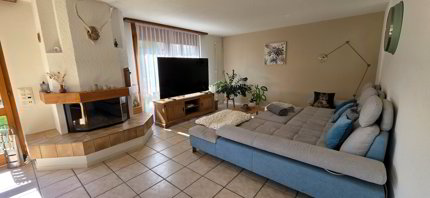 Freistehendes 5.5 Zimmer Einfamilienhaus mit grosszügigem und offenem Grundriss in Niedergösgen 1/5