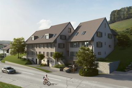 Einfamilienhaus (H-01) in Villigen 1/5