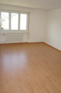 Appartement de 4.5 pièces en location à Altstätten SG 1/5
