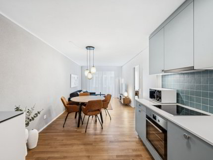 Apartment for rent in Basel, Switzerland 1/5