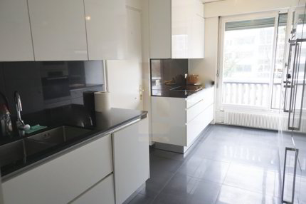 Apartment for rent in Geneva, Switzerland 1/5