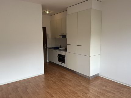 Apartment for rent, via Tabiò 3 (Bellinzona, Switzerland) 1/5