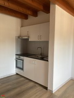 Appartement with 1 room for rent in Crissier - 25 m² 1/1