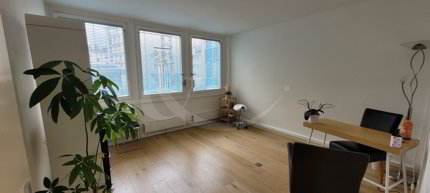 Commercial for rent, Rue Adrien-Lachenal 26 (Geneva, Switzerland) 1/3