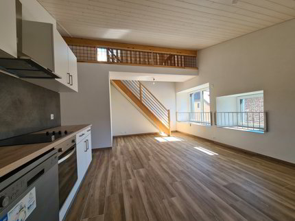 Apartment for rent, Rue Centrale 24 (Sainte-Croix, Switzerland) 1/5