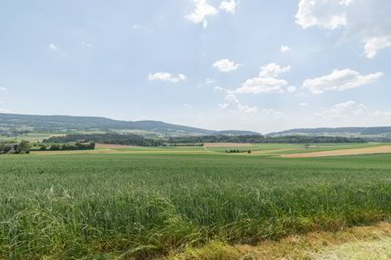 Seltene Baulandparzelle an unverbaubarer Dorfrandlage 1/5
