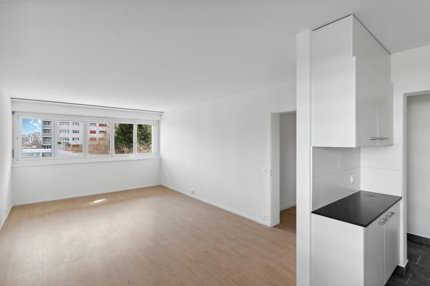 Appartement spacieux et lumineux 1/5