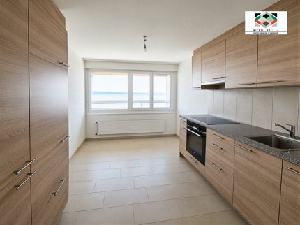 Magnifique appartement avec vue sur le lac et les alpes 1/5