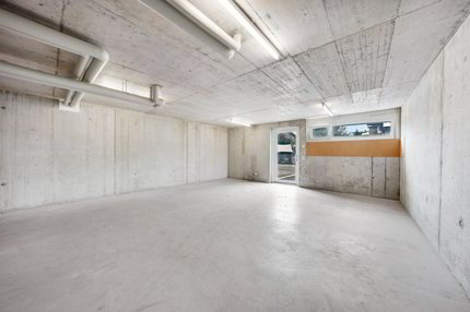 Entrepôt for rent in Diepoldsau - 66 m² 1/5