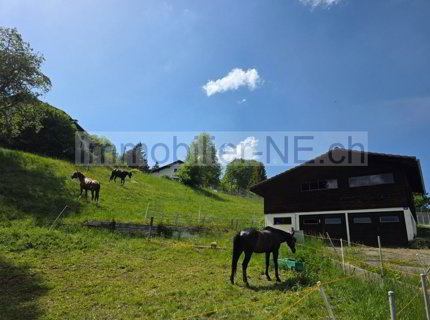 Land Plot for sale in La Chaux-de-Fonds, Switzerland 1/1