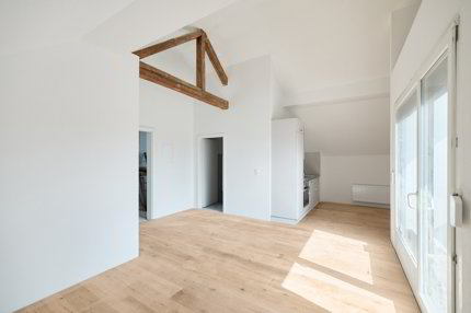 Apartment for rent, Hauptstrasse 18 (Wolfwil, Switzerland) 1/5