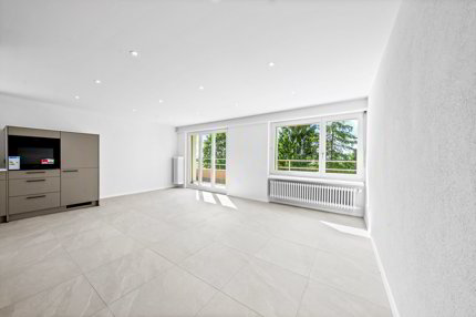 Vollständig sanierte 4.5-Zimmer-Attikawohnung mit grosser Terrasse und Weitsicht! 1/5
