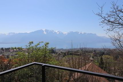Maison individuelle with 7.5 rooms on sale in Blonay - 324 m² 1/5