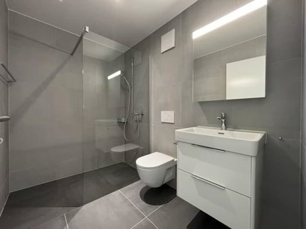 À louer ? Superbe attique de 3.5 pièces avec grande terrasse 1/5