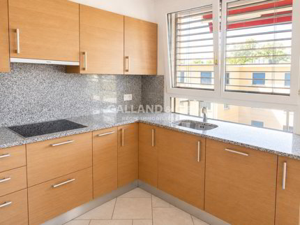Appartement with 3.5 rooms for rent in Lausanne - 66 m² 1/5