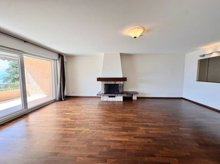 Magnifique appartement de 4,5 pièces avec vue dominante sur le lac 1/5