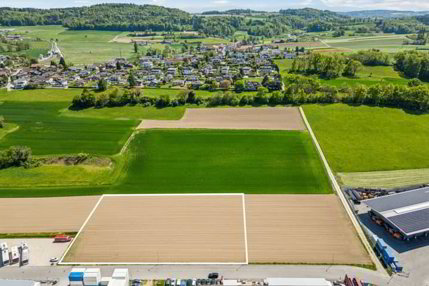 Grosszügiges Industriebauland im gefragten Wirtschaftsraum Murten 1/5