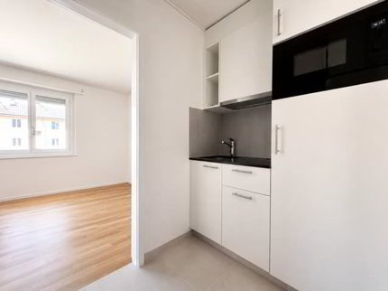 Komplett sanierte 1.5-Zwg im Mühlefeldquartier 1/3