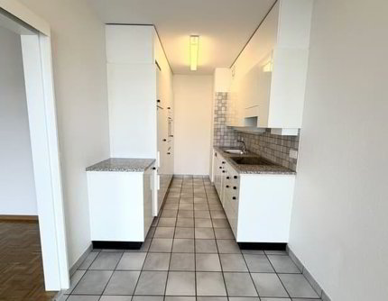 Bel appartement avec terrasse et balcon au coeur du Petit-Lancy 1/5