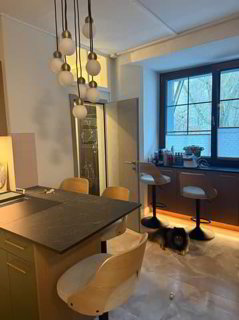 Appartement entièrement rénové avec jardin privatif au cur de la... 1/5