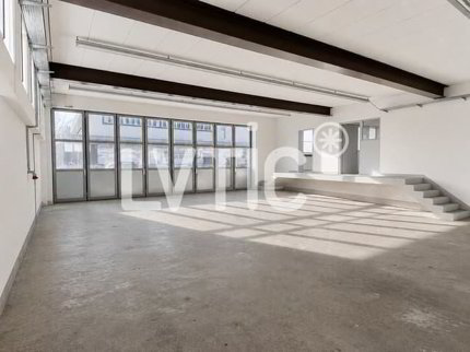 Petit bâtiment à usage d'atelier de 305 m2 à louer à Bex 1/5