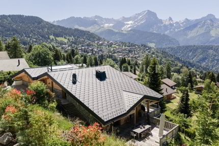House for sale, Hauts de Chesières (Ollon, Switzerland) 1/5