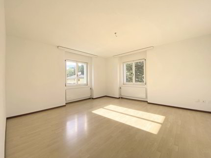 Grosszügige 3.5-Zimmerwohnung im Hochparterre 1/5