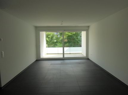 Attraktive 2.5 Zimmerwohnung im Grünen 1/5