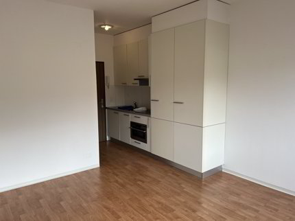 Studio de 1.5 pièces en location à Bellinzona - 25 m² 1/5