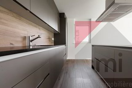 Confortable appartement rénové avec jardin sur les hauts de Vevey 1/5