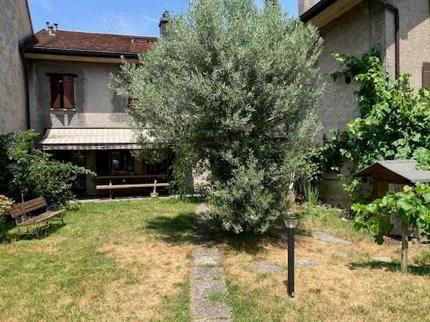Complexe immobilier avec potentiel de création de logements à Chessel 1/5