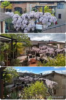 Maison de 9 pièces en vente à Comano - 300 m² 1/5