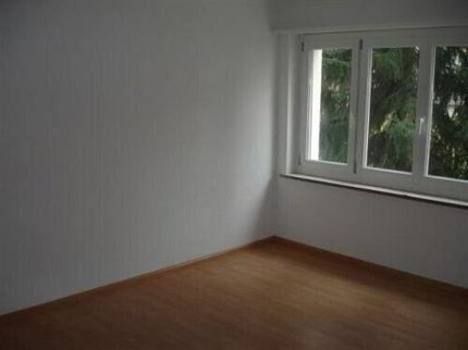 Appartement with 2 rooms for rent in Münchenstein - 55 m² 1/3