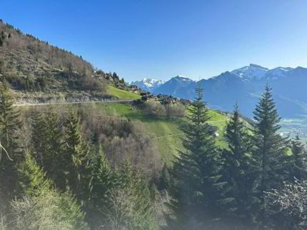 Appartement de 2 pièces meublé au coeur de Torgon 1/5