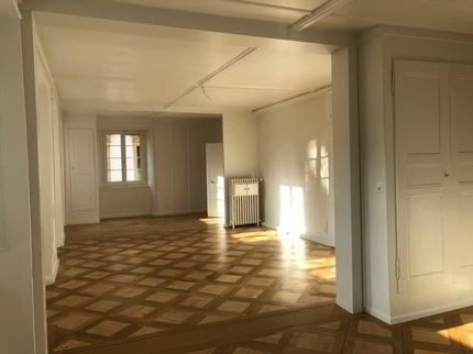 GRAND 3.5 PIÈCES DE 100 M2 CENTRE VILLE AVEC CACHET 1/5