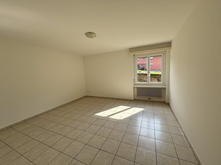 Studio de 1.5 pièces en location à Arbedo - 44 m² 1/5