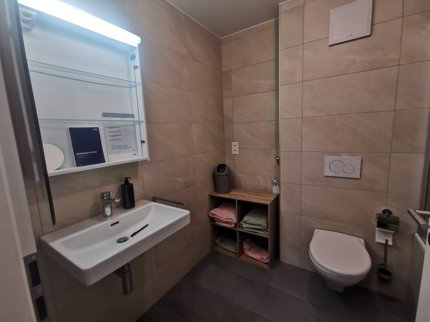 Appartement de 1.5 pièces en location à Sierre - Réf Aurochs - R01 1/5