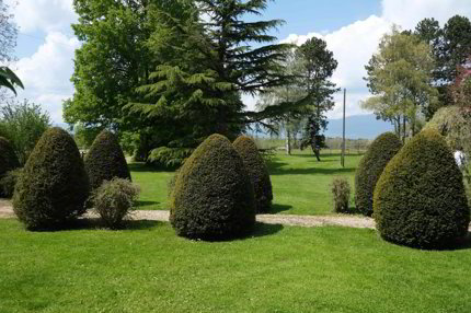 Terrain à bâtir on sale in Vuarrens - 20 225 m² 1/5