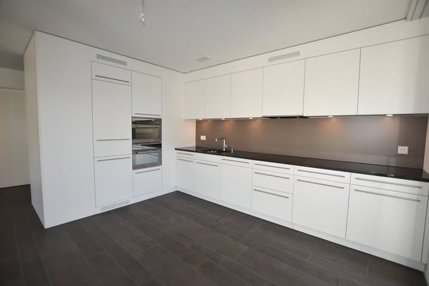 Moderne Attikawohnung mit 2 Terrassen zu vermieten 1/5